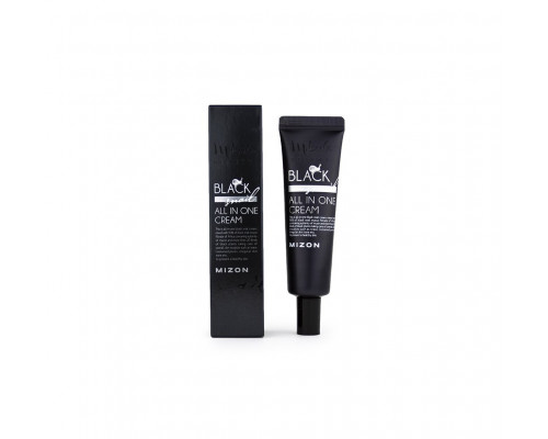 MIZON Black Snail All In One Cream tube