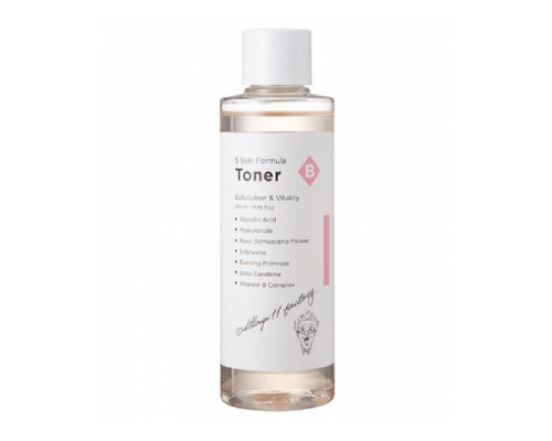 Village 11 Factory Отшелушивающий тонер для лица B Skin Formula Toner, 250 ml 